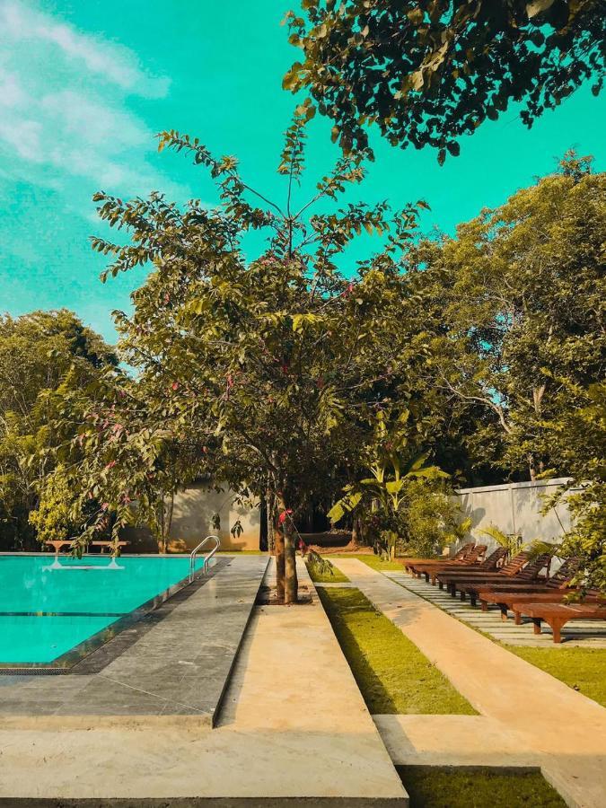 Naturaliza Sigiriya Eksteriør bilde